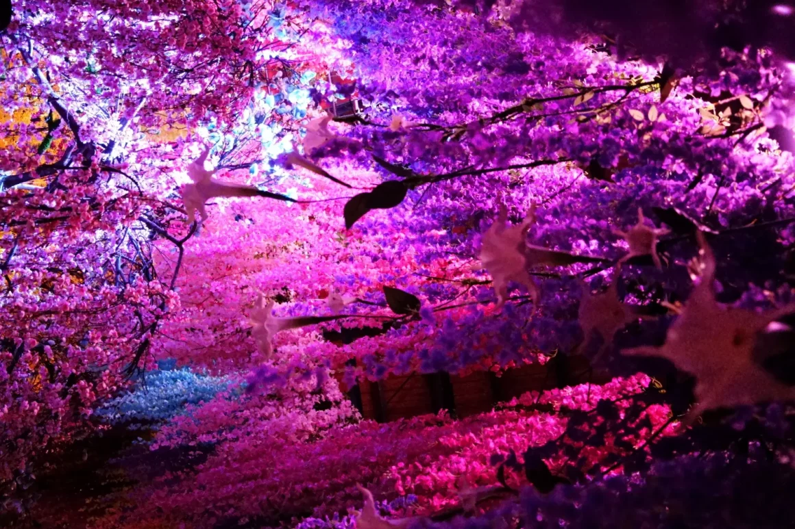 蜷川實花展《彼岸之光,此岸之影》:一半是光影淹沒的窒息美學,另一半是與人潮搏鬥的生存遊戲 23 《蜷川實花展 with EiM:彼岸之光,此岸之影》
