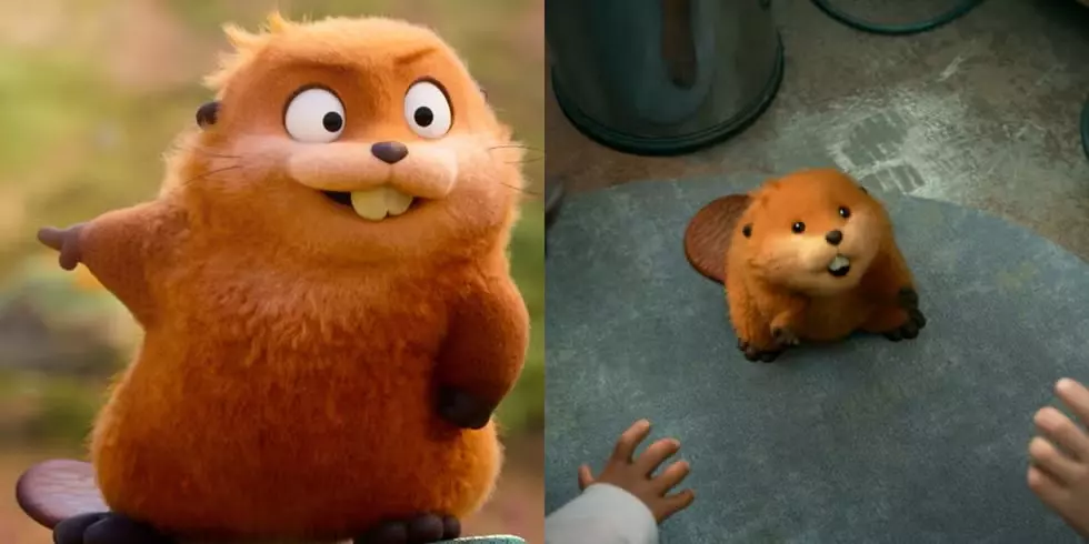 皮克斯《狸想世界》評價與心得:毛茸茸的瘋狂喜劇裡,看見最真實的自然與固執的自己 10 狸想世界劇照